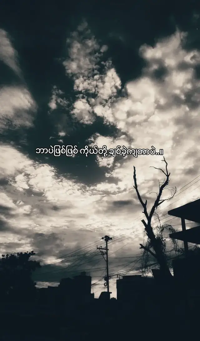 ဘာပဲဖြစ်ဖြစ် ချစ်ခဲ့တာပဲလေ... ဘာကိုမ??