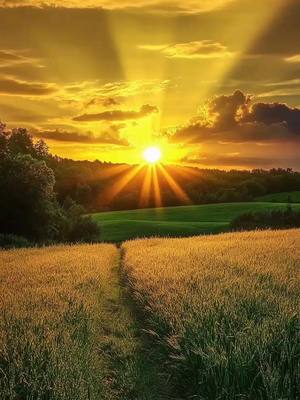 ⁣#bomdia #confieemdeus #motivação 