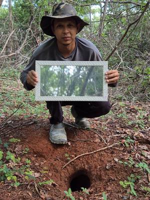 ⁣O que acontece quando um tatu se vê no espelho  ?