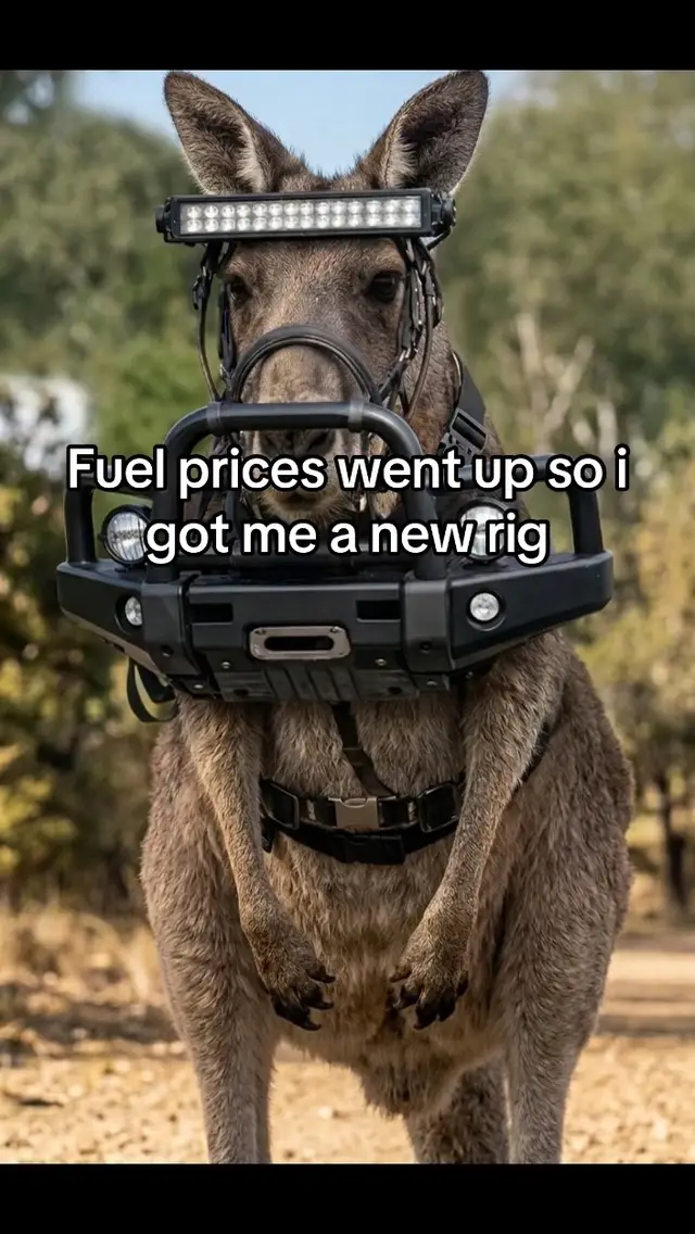 ⁣#australia #fuel #rig #funny #fyp 
