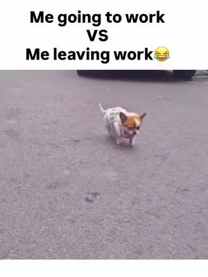 ⁣#BalliBotMogis #TrendingReels #TrendingReels #Foryoupage ##FYP #FYP #ViralTikTok #MillionViews #Tech