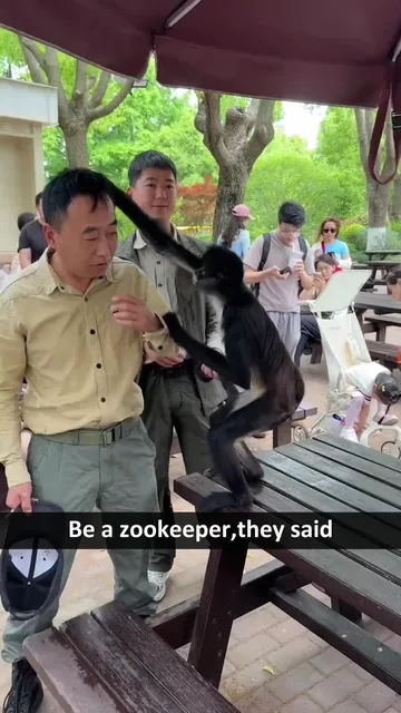 ⁣Be a zookeeper,they said…#fyp #funny #animals #zoo #zookeepersoftiktok 