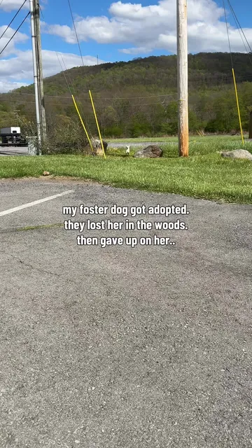 ⁣My foster dog Coconut got adopted… a few days after being adopted, she slipped out of her harness 