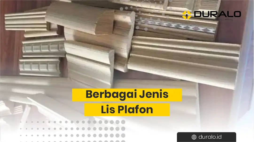 Berbagai Jenis Lis Plafon