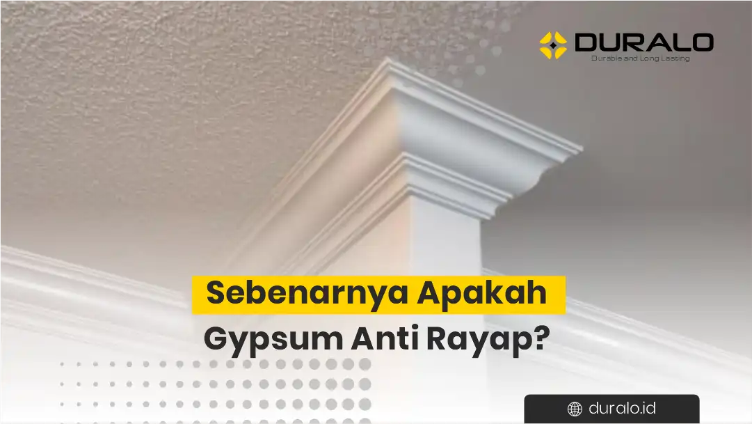 Sebenarnya Apakah Gypsum Anti Rayap 