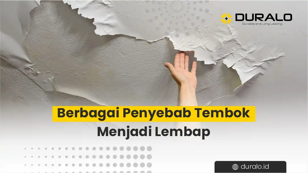 Berbagai Penyebab Tembok Menjadi Lembap