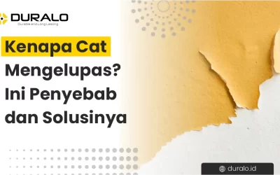 Kenapa Cat Mengelupas? Ini Penyebab dan Solusinya