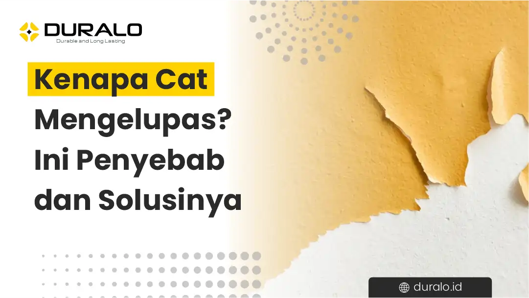 Kenapa Cat Mengelupas Ini Penyebab dan Solusinya