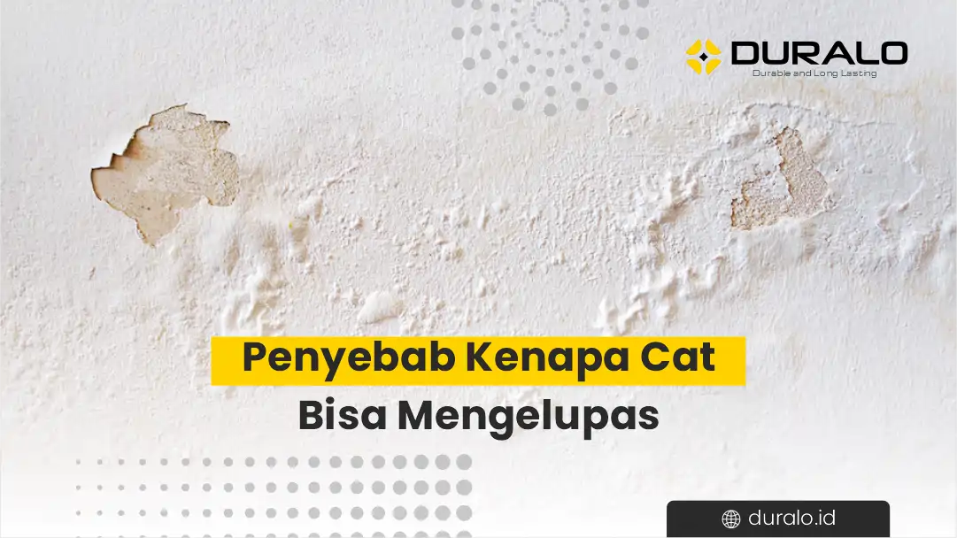 Penyebab Kenapa Cat Bisa Mengelupas