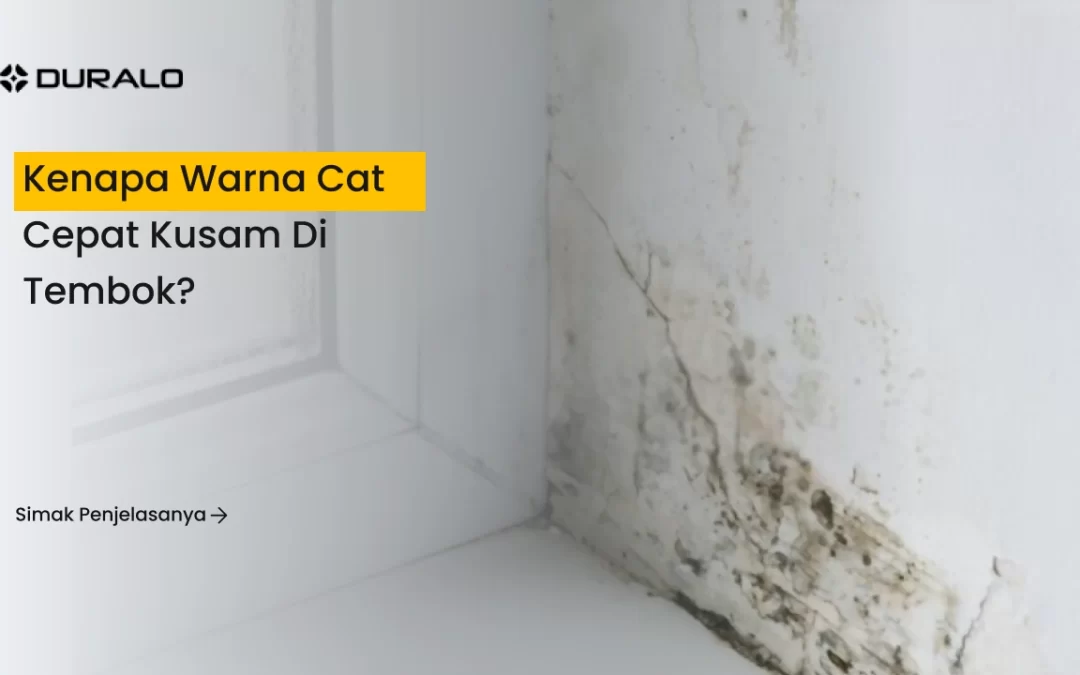 Kenapa Warna Cat Cepat Kusam di Tembok?