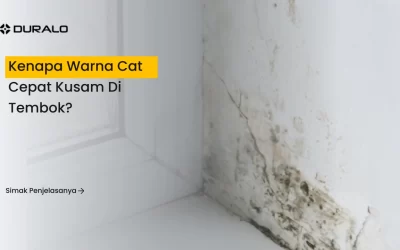 Kenapa Warna Cat Cepat Kusam di Tembok?