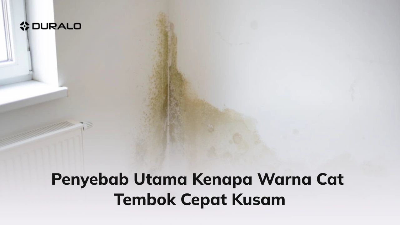 Penyebab Utama Kenapa Warna Cat Tembok Cepat Kusam