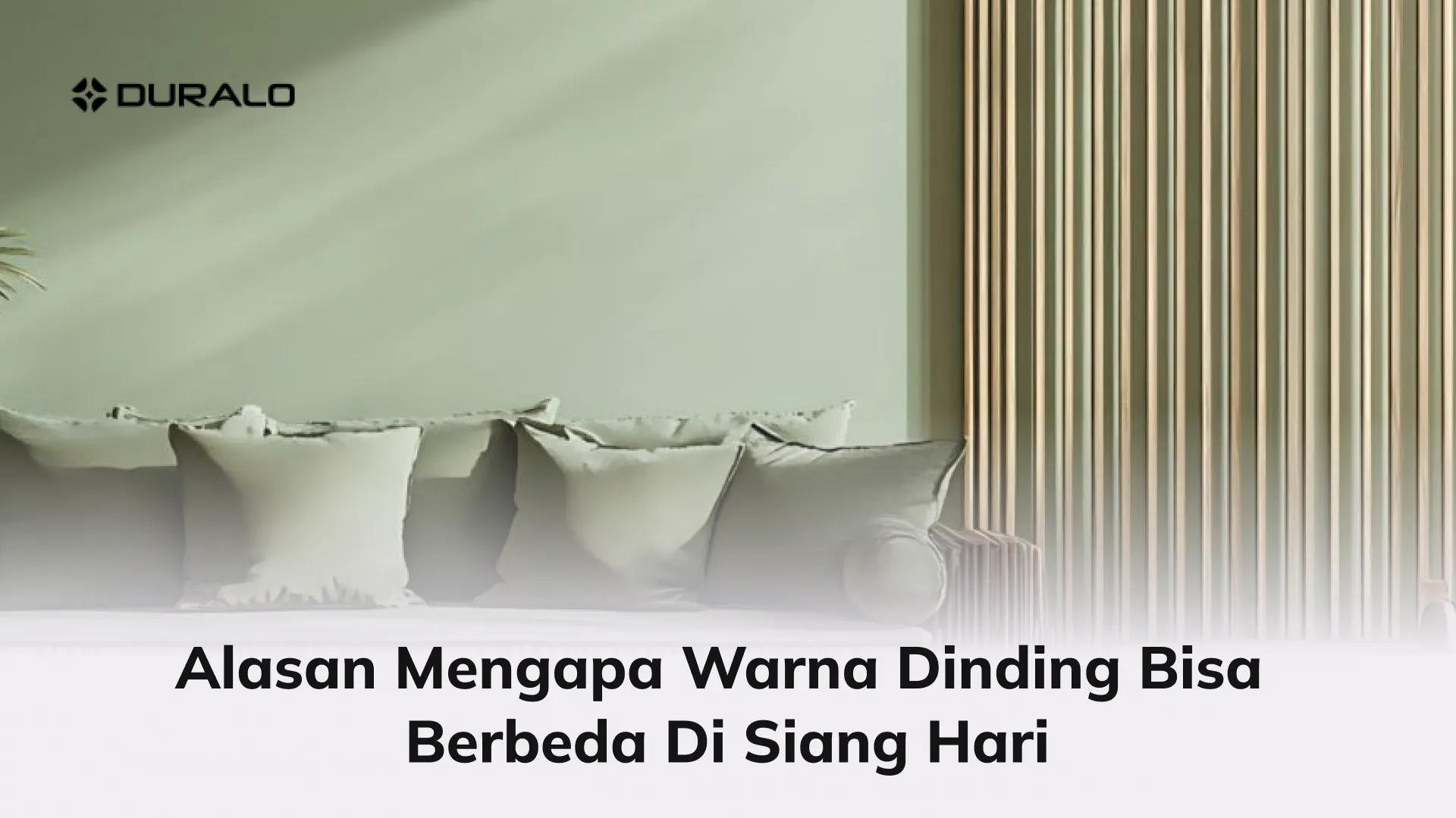 Alasan Mengapa Warna Dinding Bisa Berbeda di Siang Hari