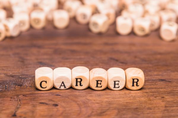 Top 6 Career Options after BBA: What to do After BBA? [2023] | Rozgar blog