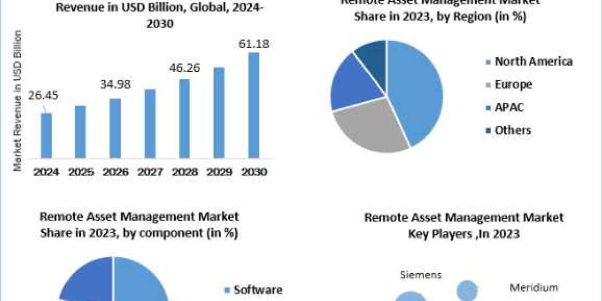 Remote Asset Management Market Share, Size, Trends, Growth, Analysis, Key Players, Outlook, Report, Forecast 2024-2030