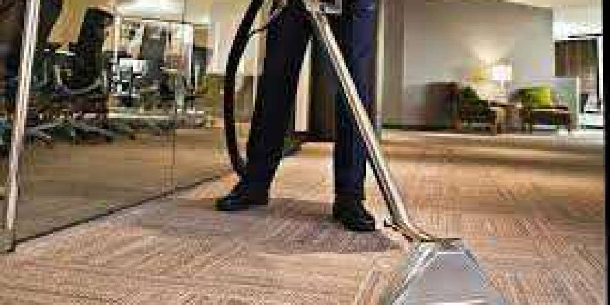 Professional Carpet Cleaning: The Key to a Healthier Home