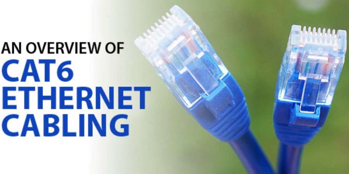 Future-Proof Your Network: Choosing the Right Cat6 Cable Today
