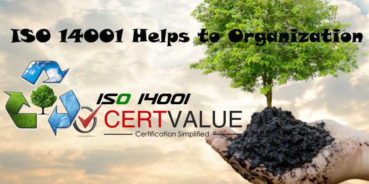 How to choose an ISO 14001 consultant in Kuwait?