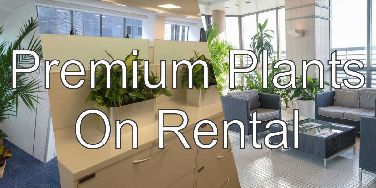 Plants on Rent/Hire Services in Delhi-NCR