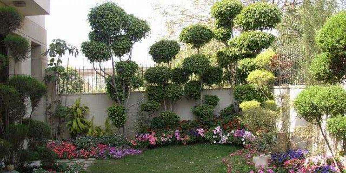 Gromor – One of The Best Online Plant Nurseries in Hyderabad