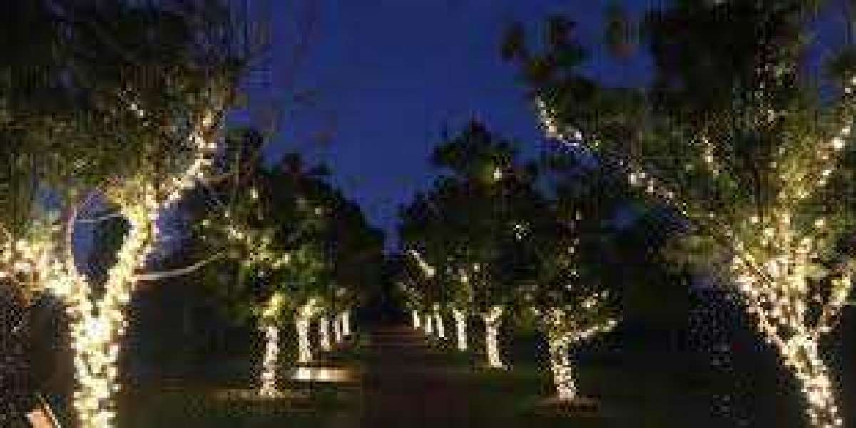 Decorate Your Landscape With Solar Outdoor Lighting