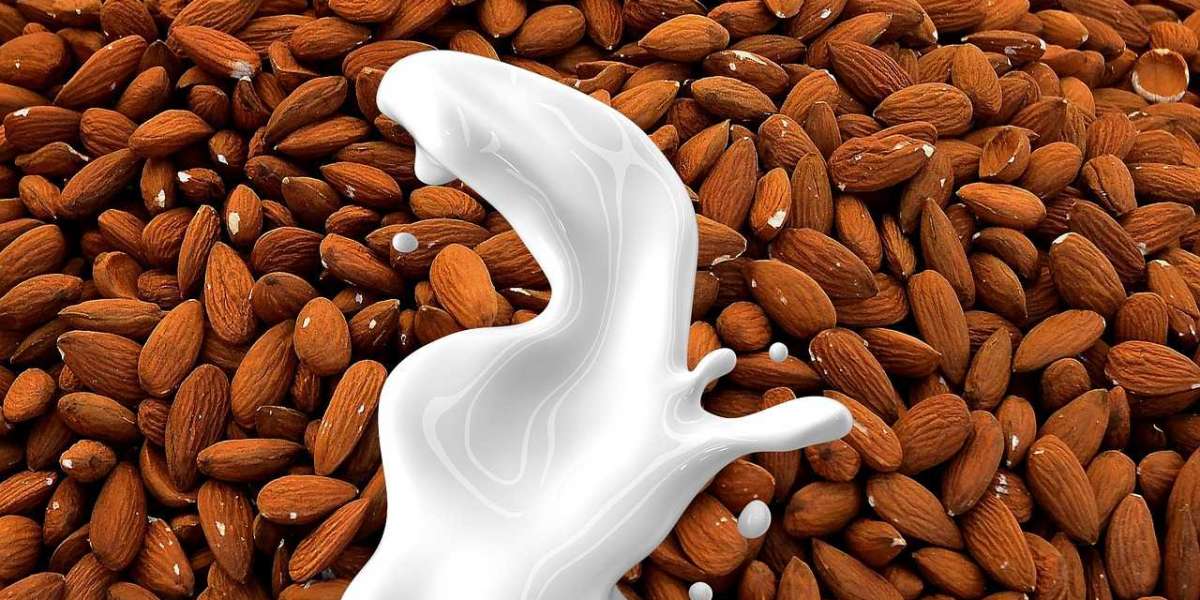 Almond Milk Market - Global Industry Analysis 2026