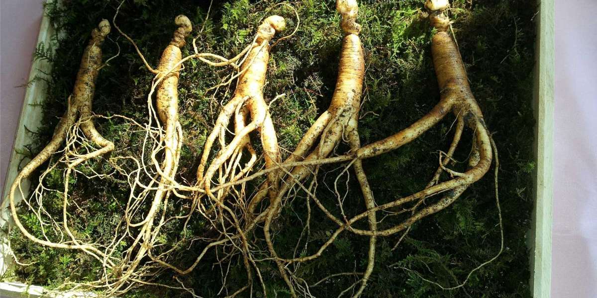 Ginseng Market - Global Industry Report, 2027