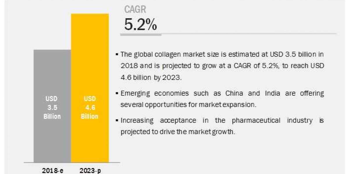 Collagen Market: Trends and Developments
