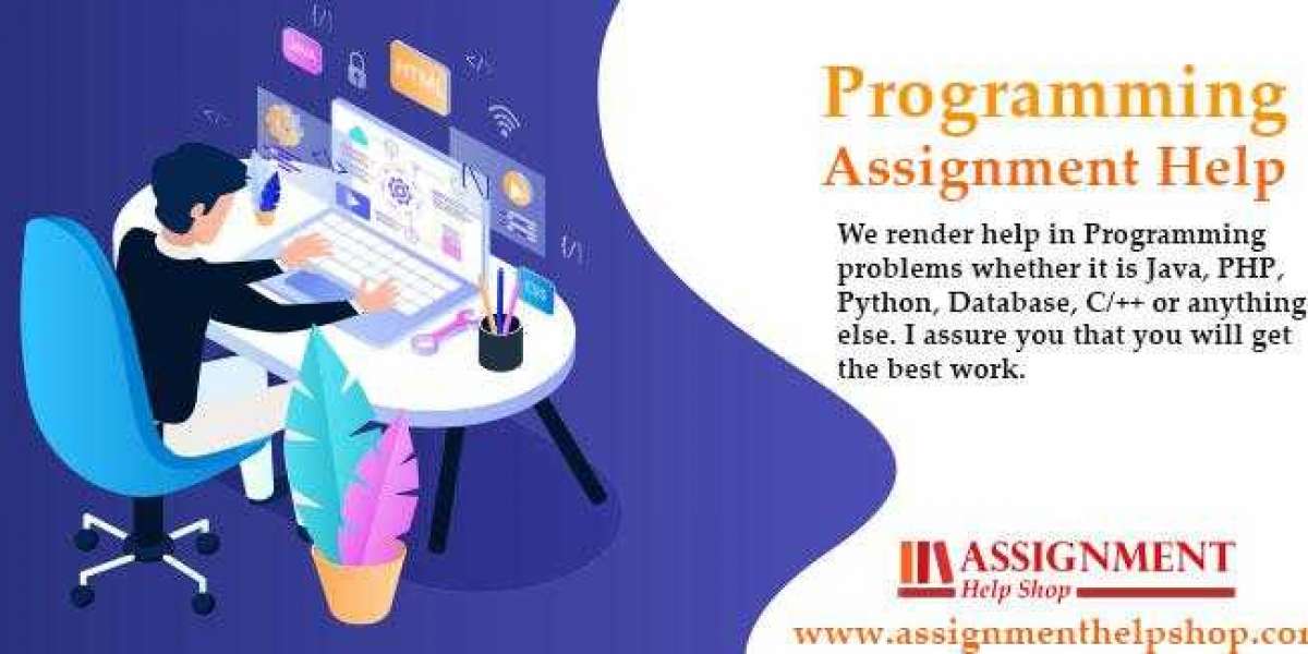 Why do Student seek help with their programming language assignment?