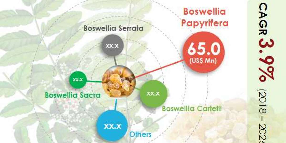 Boswellia Market to Increase at a CAGR of 4.2% by 2026
