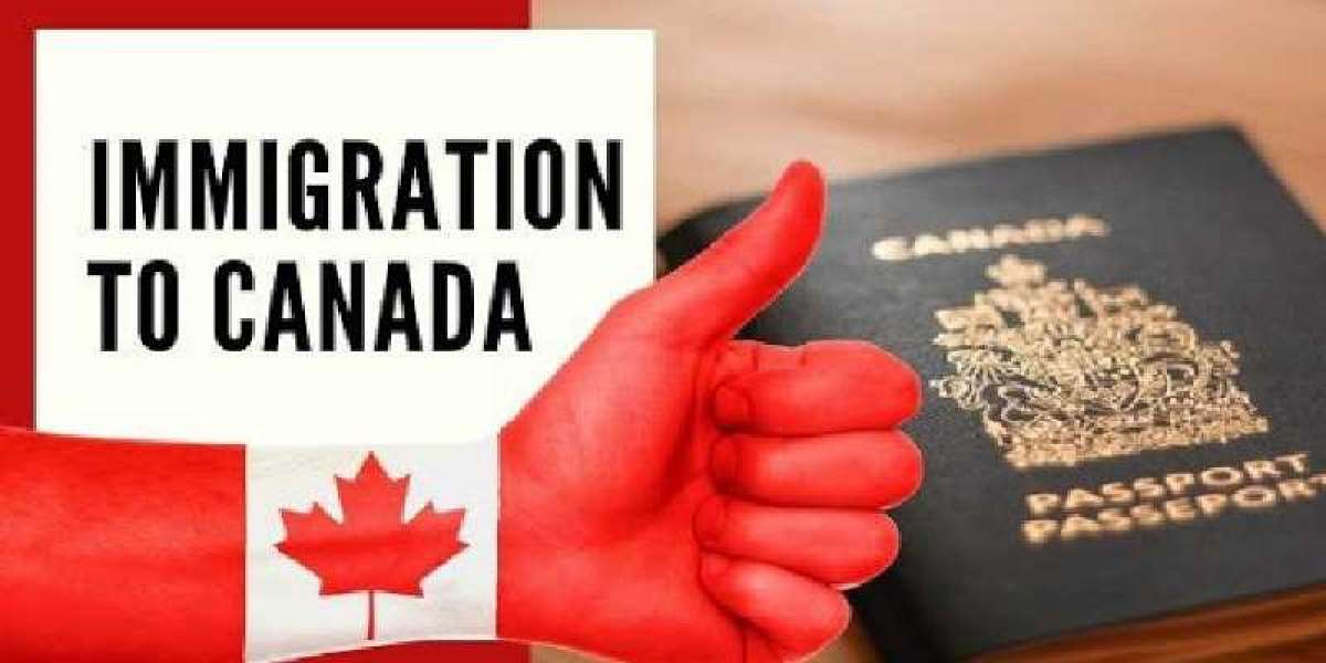 Genuine Immigration Consultants For Canada In Chennai
