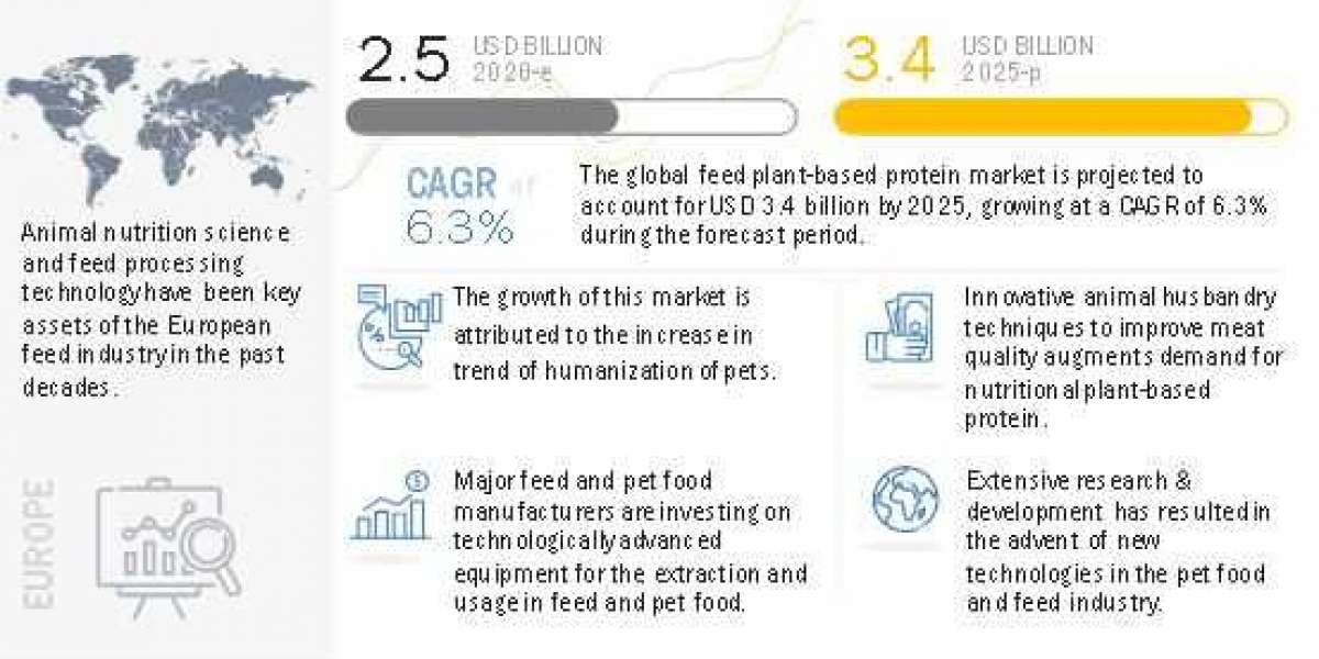 Feed Plant-based Protein Market is Projected to Reach $3.4 billion by 2025