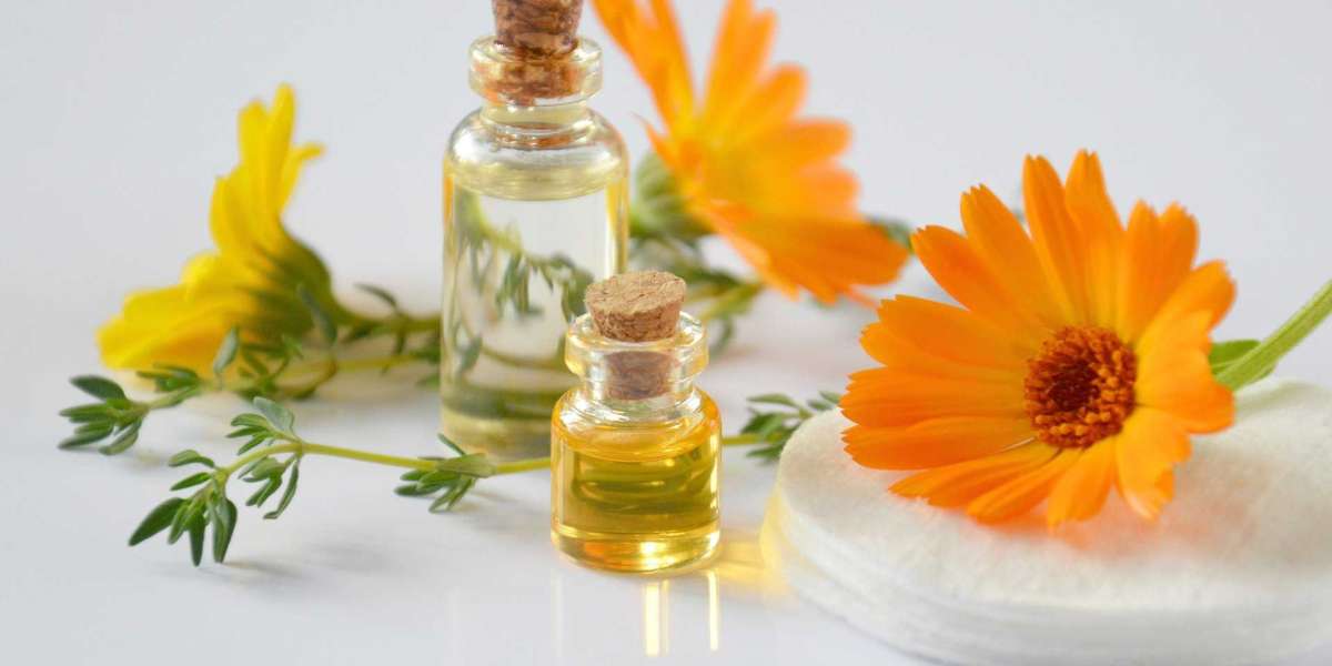 Roman Chamomile Essential Oil Market - Global Industry Analysis 2026