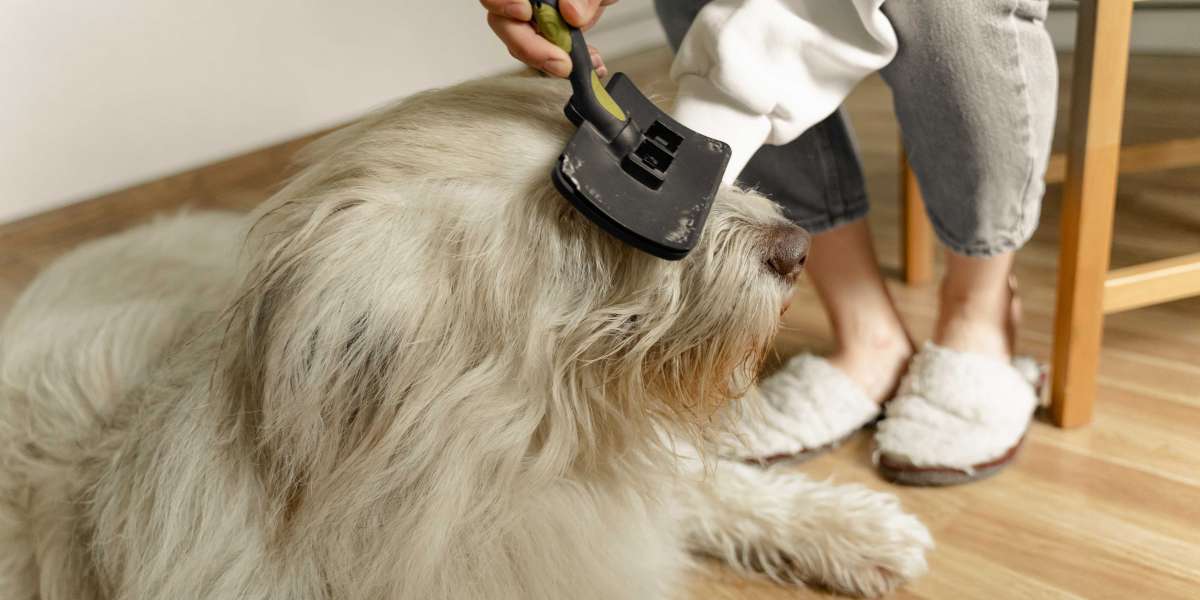 Best Dog Grooming Center In Dubai