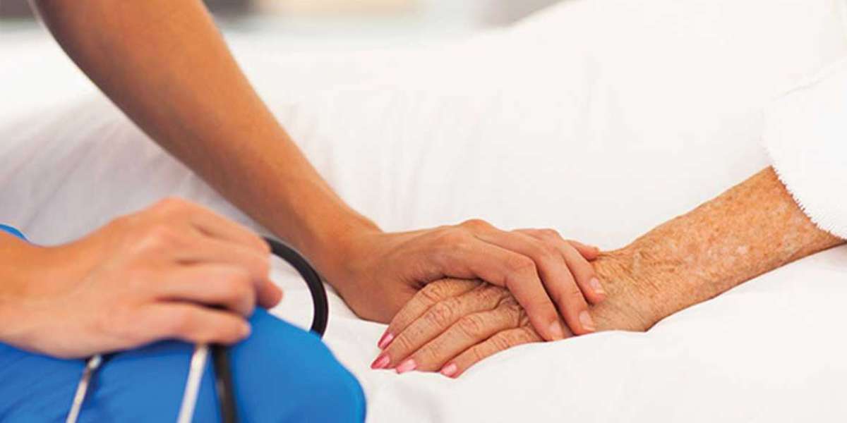 Everything You Should Know About Palliative Care Services