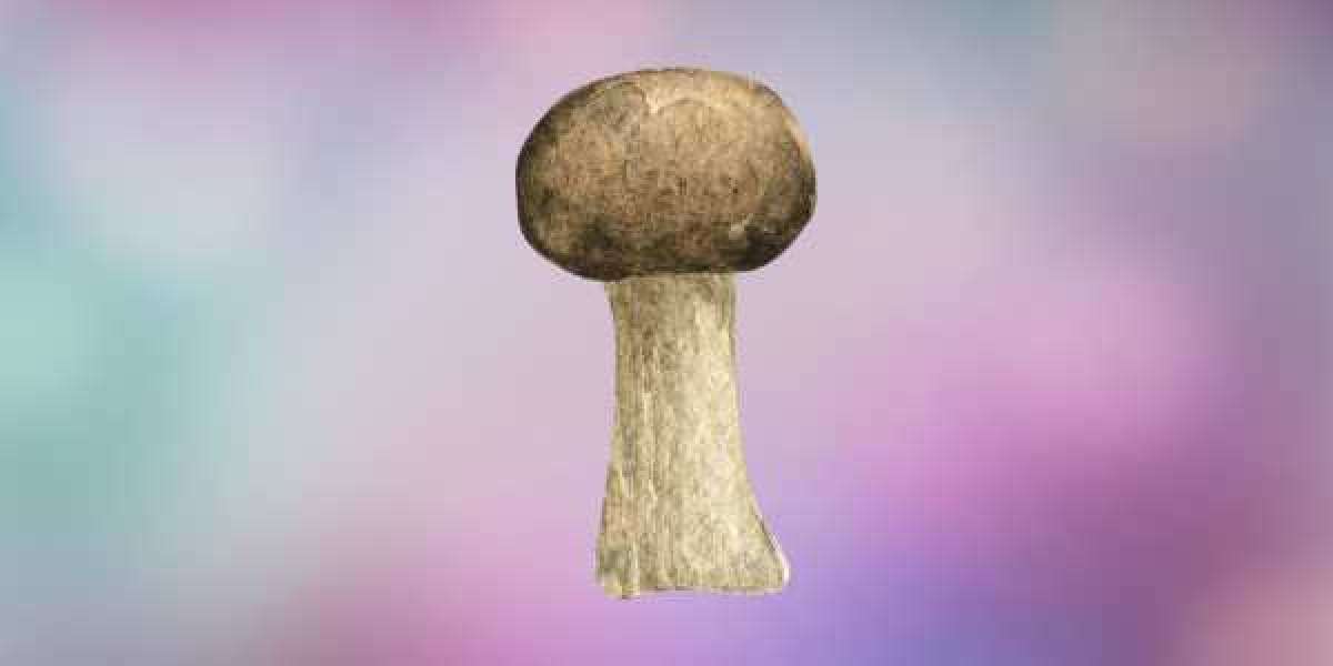 There are many benefits of buying psilocybin Canada