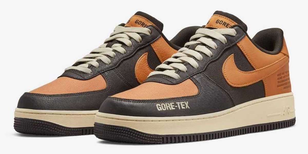 Where to buy this pair of Nike Air Force 1 Gore-Tex Shattered Backboard DO2760-220?