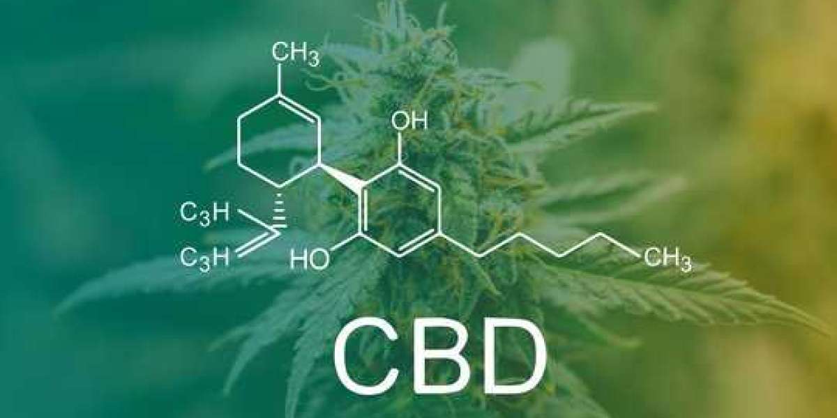 The Best Strategy To Use For The Best Cbd Gummies For 2021 [Updated Buyer's Guide]