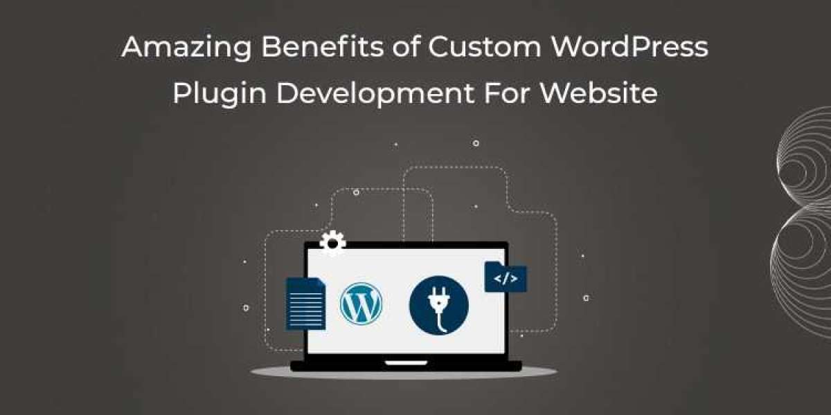 Amazing Benefits of Custom WordPress Plugin Development For Website