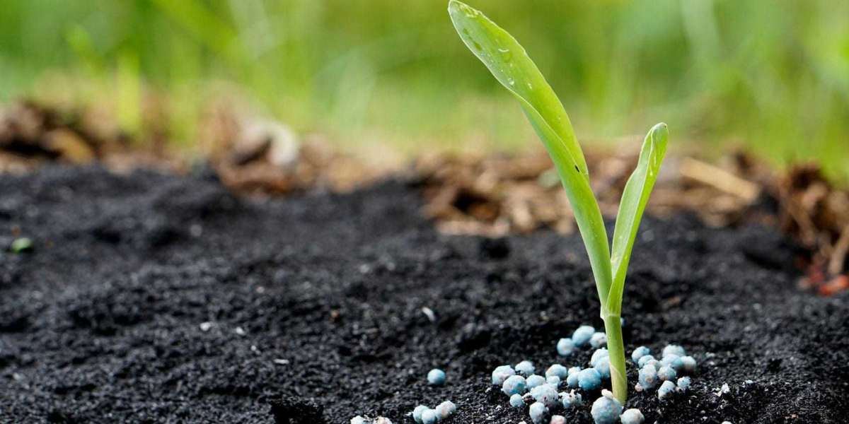 Fertilizer Market  Research 2021 Global Report With Impact Analysis | Research Informatic
