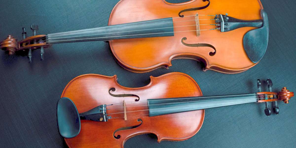 5 types of the best violins for beginners