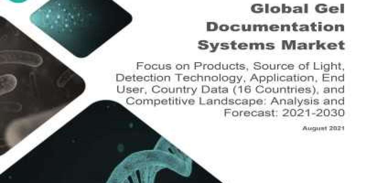 Global Gel Documentation Systems Market is Predicted to Reach $411.1 Million by 2030