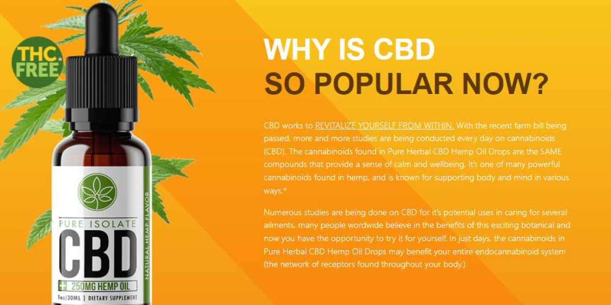 All You Need To Know About Mayim Bialik CBD Oil.