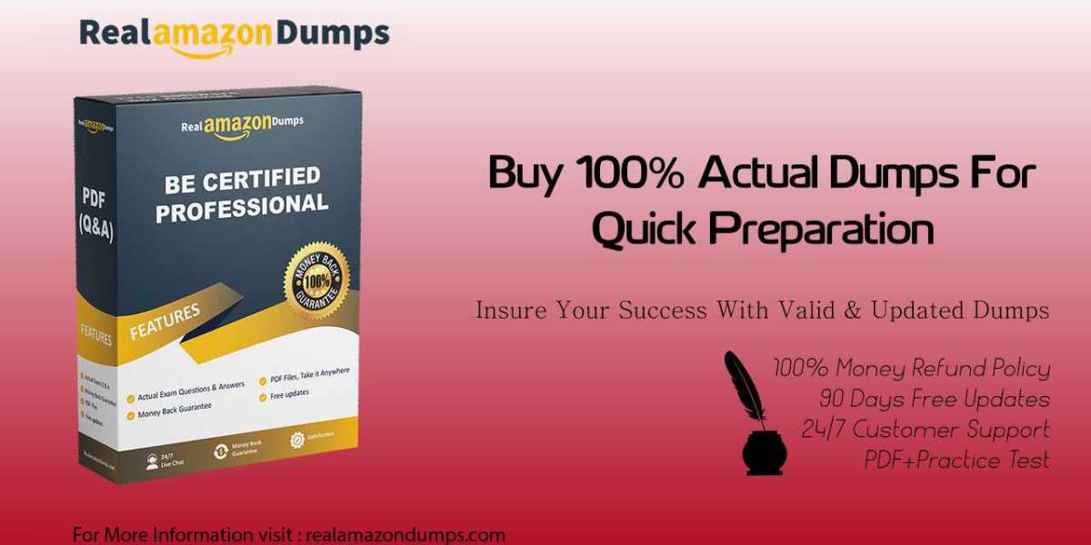 Get Free DOP-C01 Questions | Real Amazon Professional Dumps