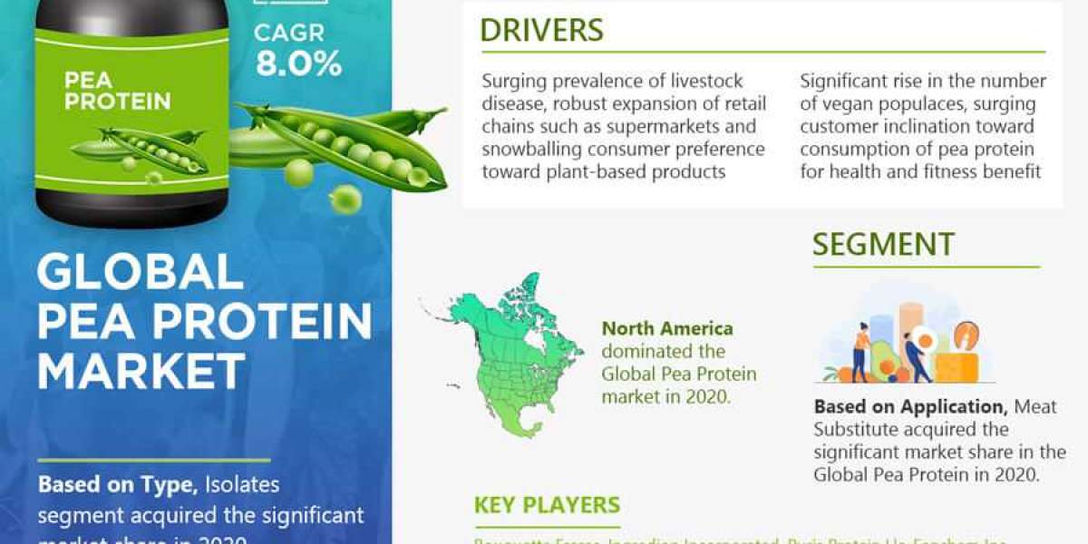 Global Pea Protein Market Leading Key Players with Region Segmentation, Trends, and Future Scope during 2021-2026