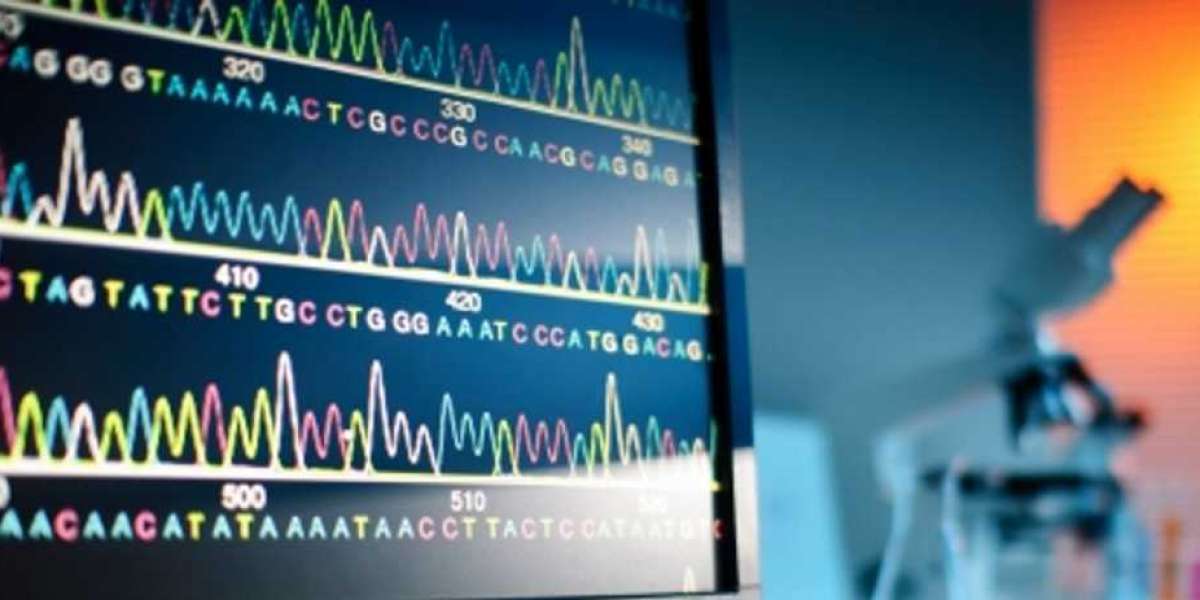 Sanger Sequencing Services Market Research Report - Competitive Analysis  and Forecast period during 2022-2027