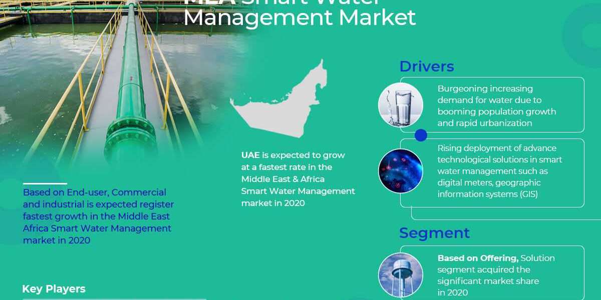 Middle East & Africa Smart Water Management Market:  Industry Trend Analysis 2020 to 2025