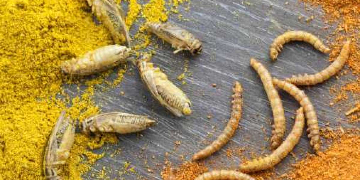 Insect Protein Market Globally Expected to Drive Growth through 2027
