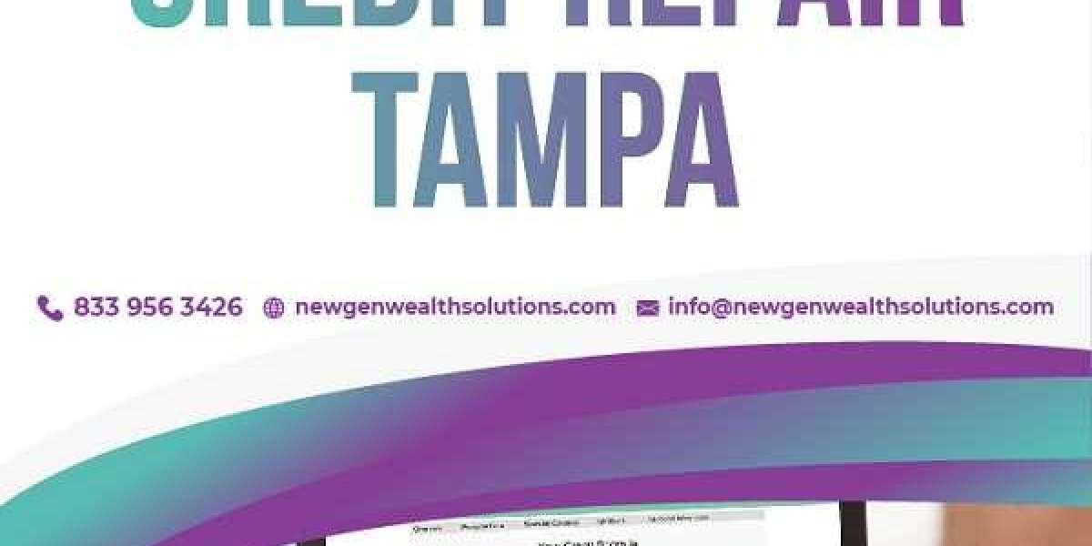 Credit Repair Tampa with the Best of Tools