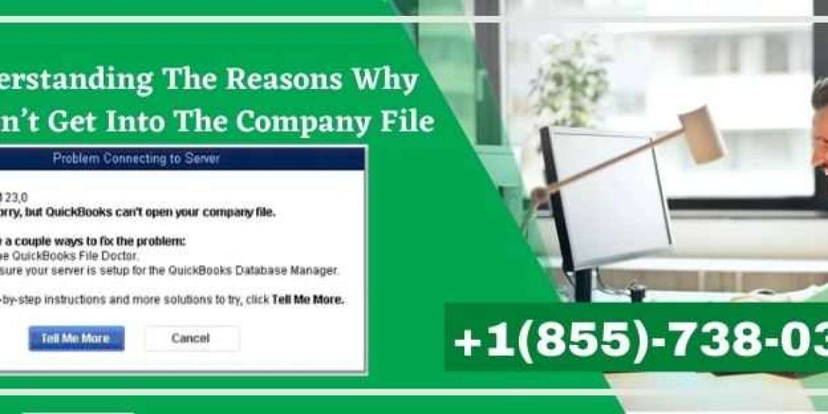 Understanding The Reasons Why You Can’t Get Into The Company File